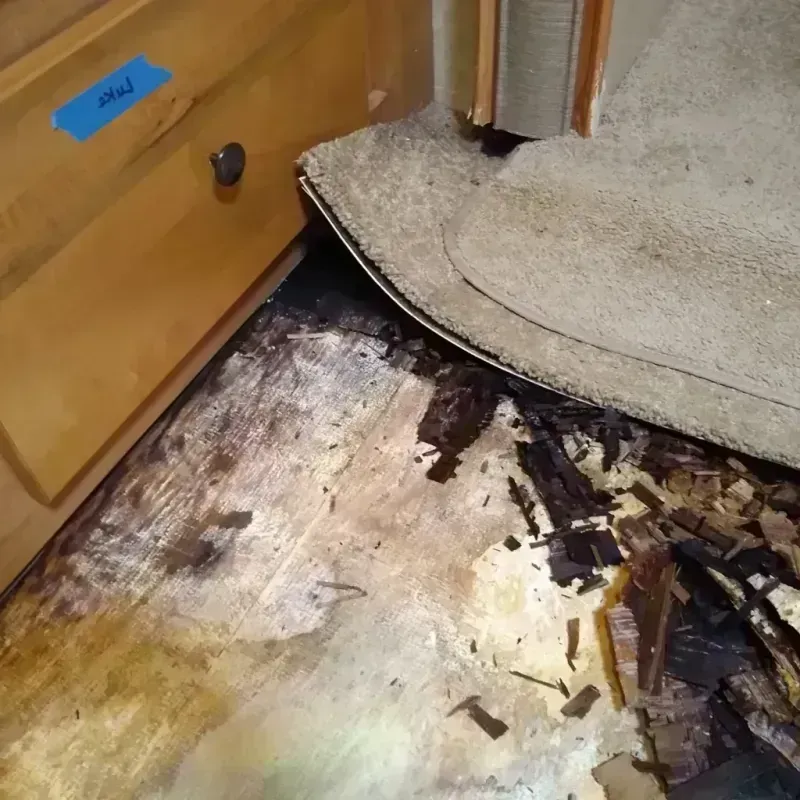 Wood Floor Water Damage in Wetherington, OH